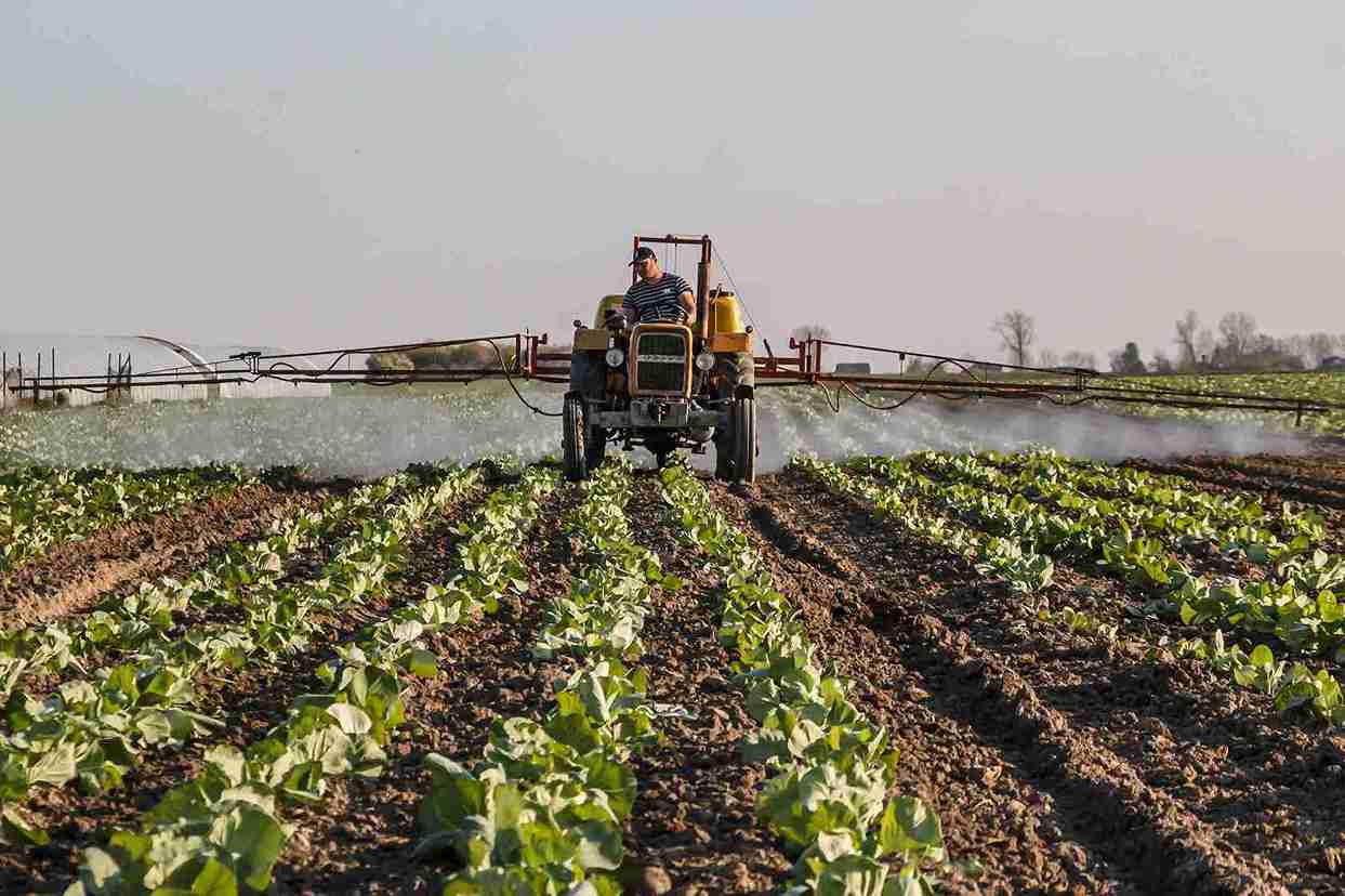 Agricultural Logistics Infrastructure